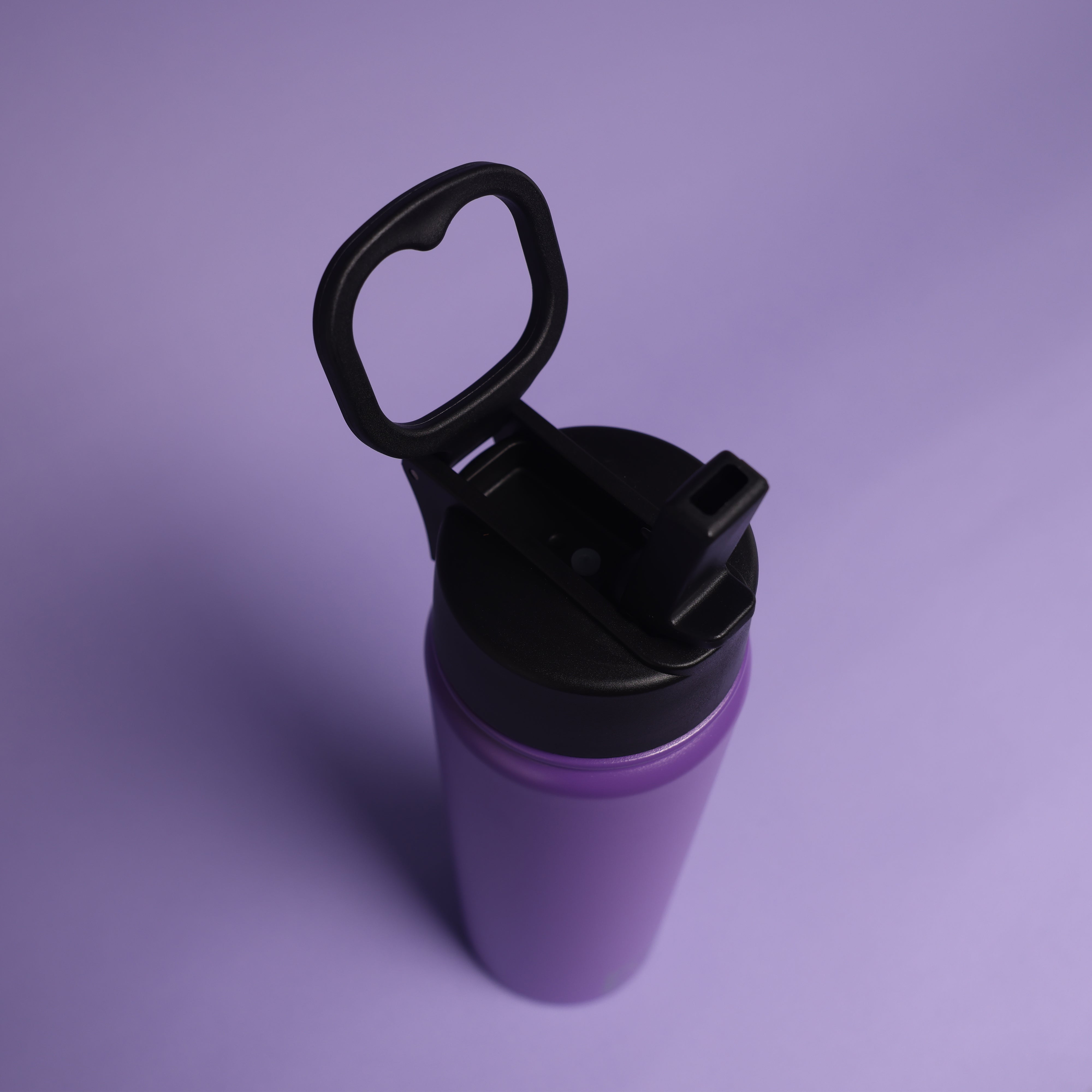 Versai Purple Stainless Steel Straw Water Bottle (500ml / 650ml / 1L)