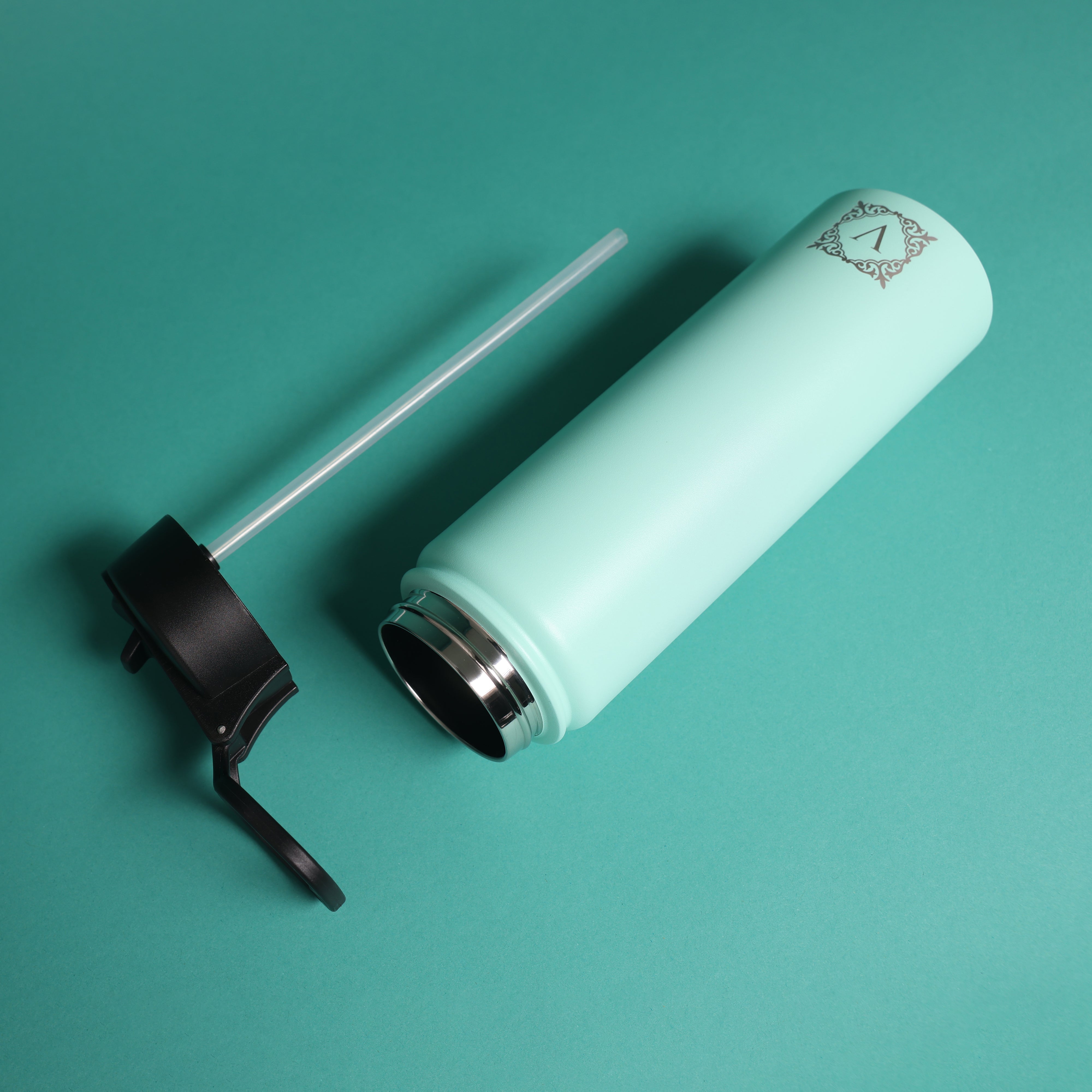 Versai Aqua Stainless Steel Straw Water Bottle (500ml / 650ml / 1L)
