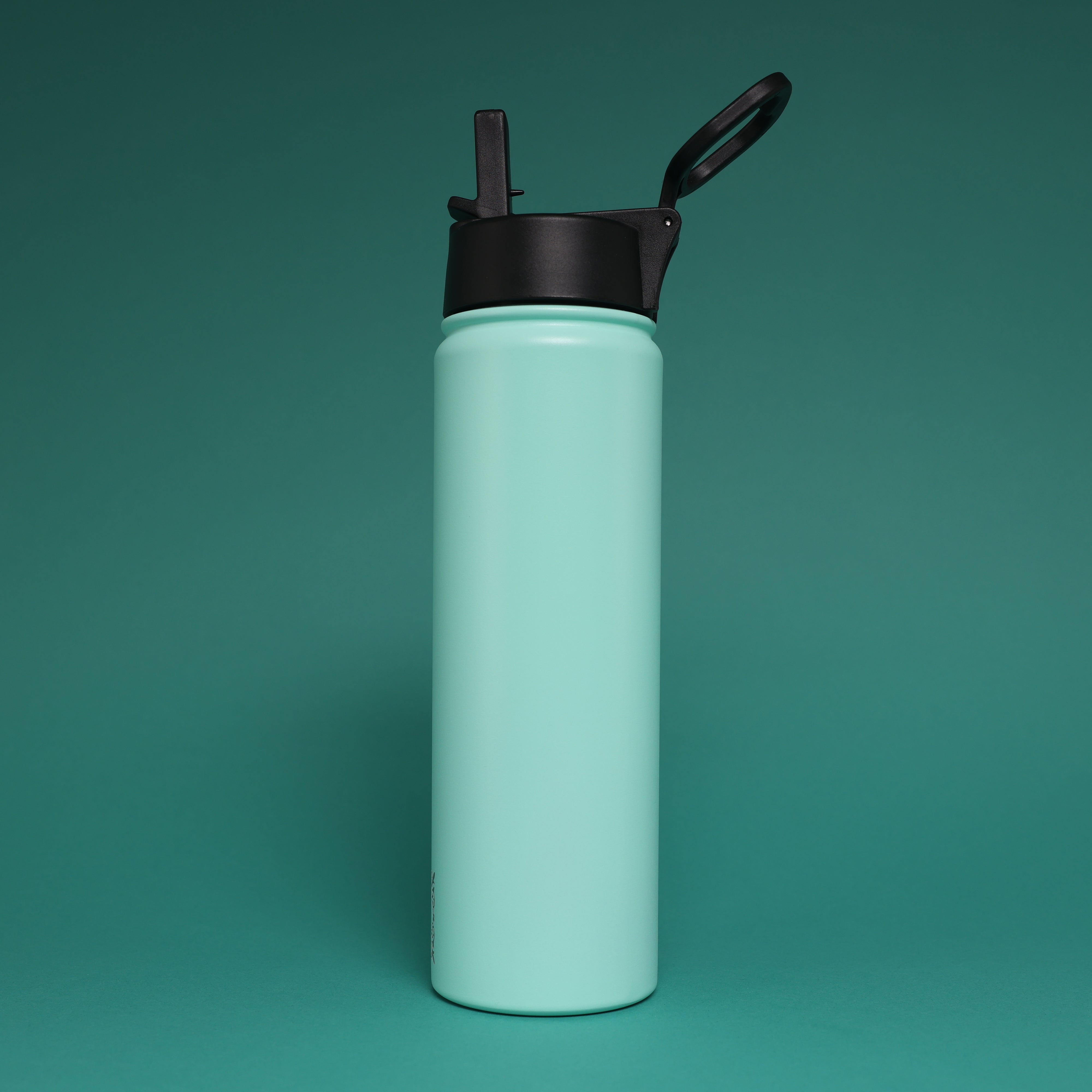 Versai Aqua Stainless Steel Straw Water Bottle (500ml / 650ml / 1L)