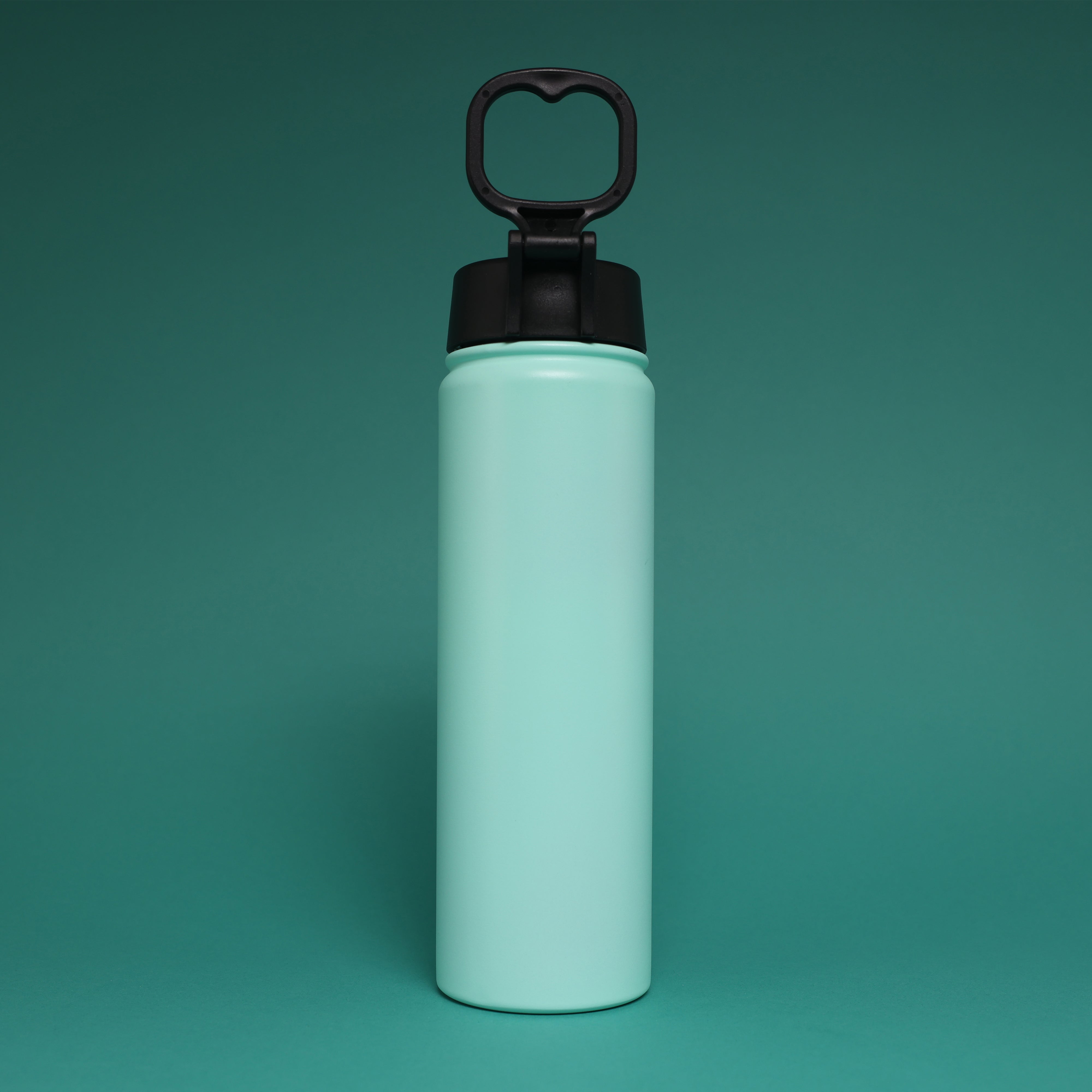 Versai Aqua Stainless Steel Straw Water Bottle (500ml / 650ml / 1L)