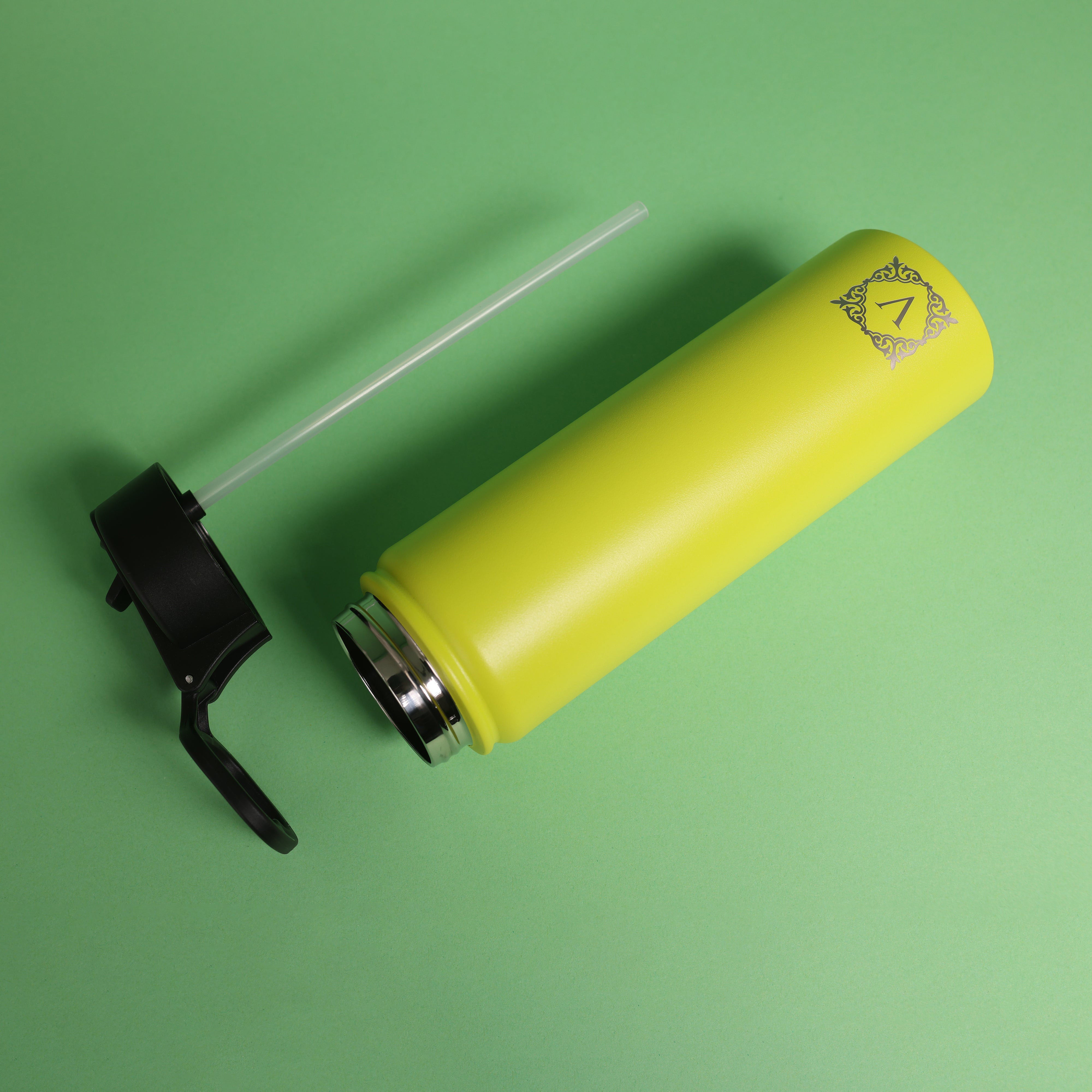Versai Lime Green Stainless Steel Straw Water Bottle (500ml / 650ml / 1L)
