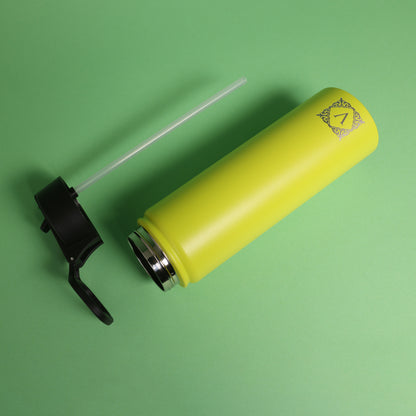 Versai Lime Green Stainless Steel Straw Water Bottle (500ml / 650ml / 1L)