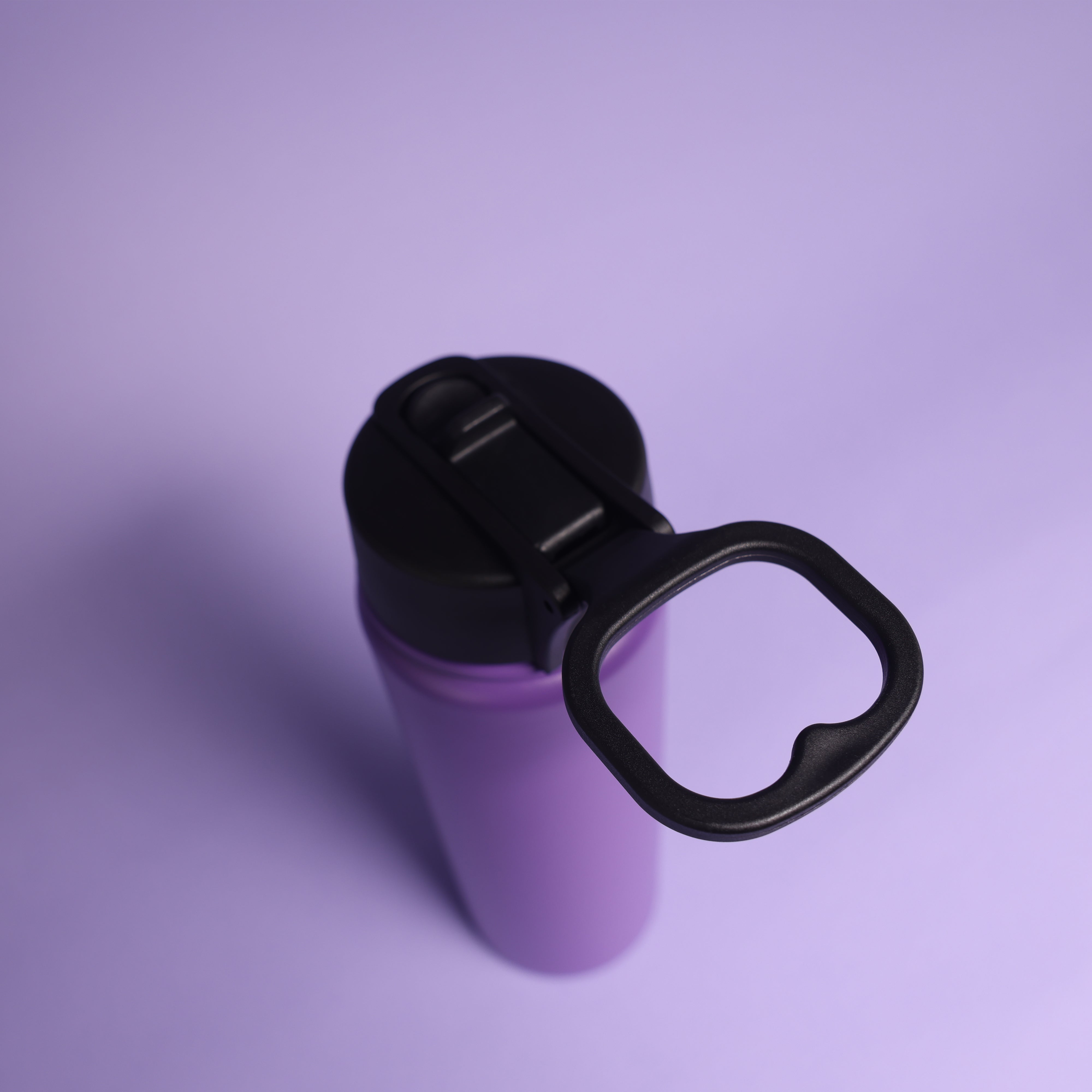 Versai Purple Stainless Steel Straw Water Bottle (500ml / 650ml / 1L)