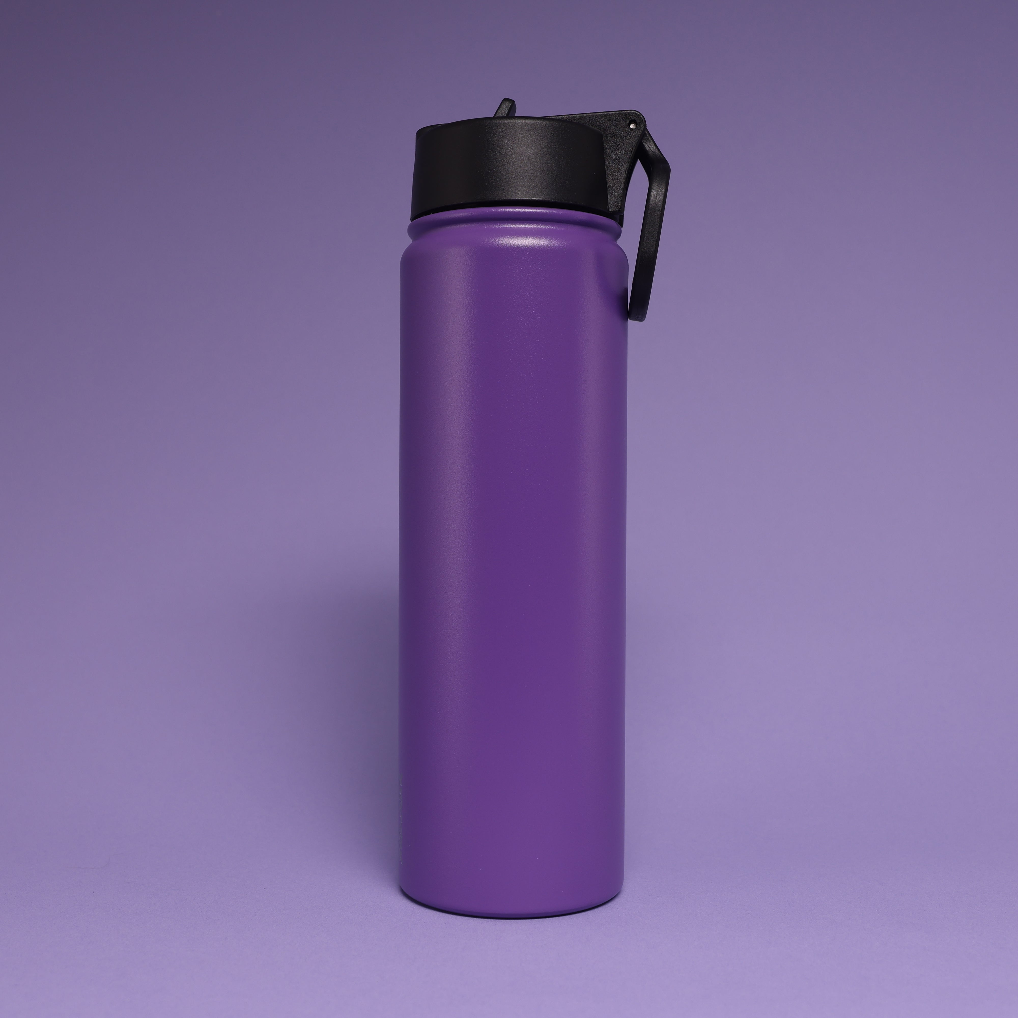 Versai Purple Stainless Steel Straw Water Bottle (500ml / 650ml / 1L)