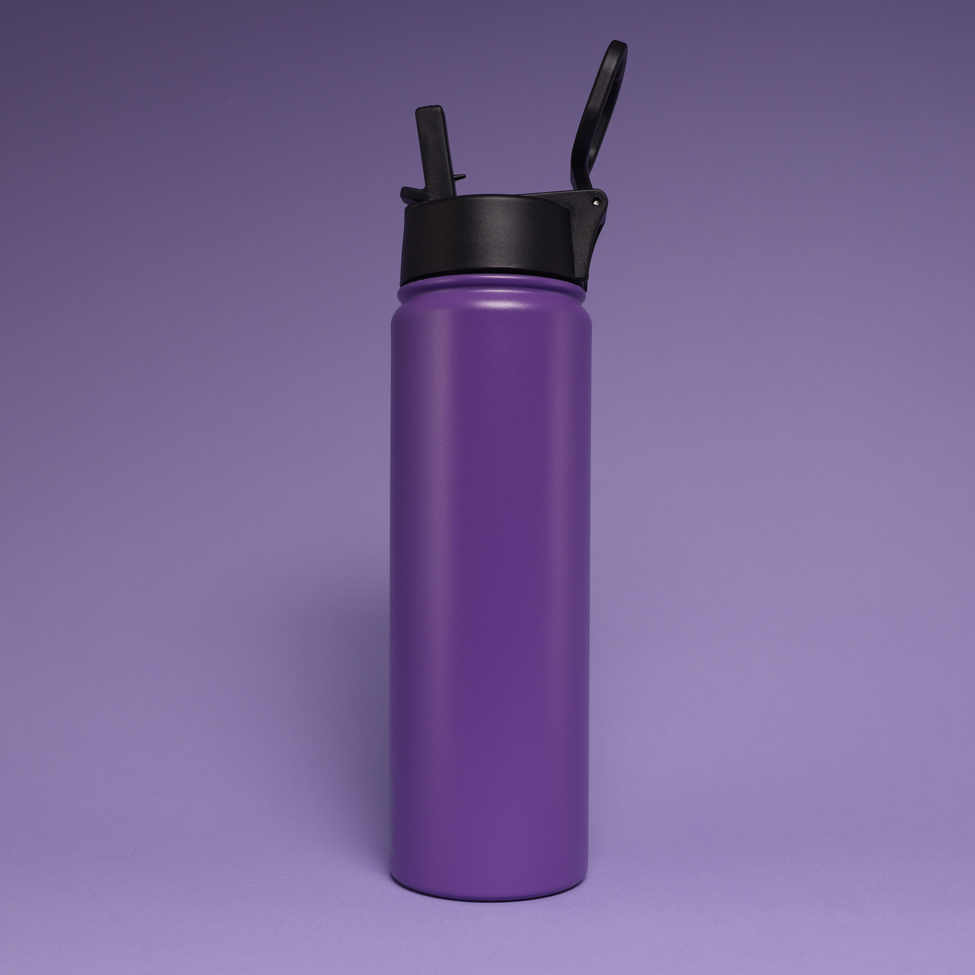 Versai Purple Stainless Steel Straw Water Bottle (500ml / 650ml / 1L)