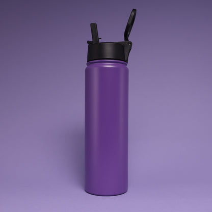 Versai Purple Stainless Steel Straw Water Bottle (500ml / 650ml / 1L)