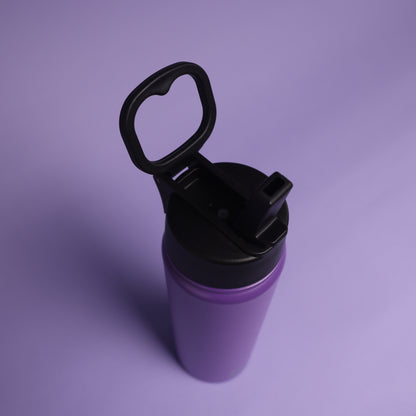 Versai Purple Stainless Steel Straw Water Bottle (500ml / 650ml / 1L)