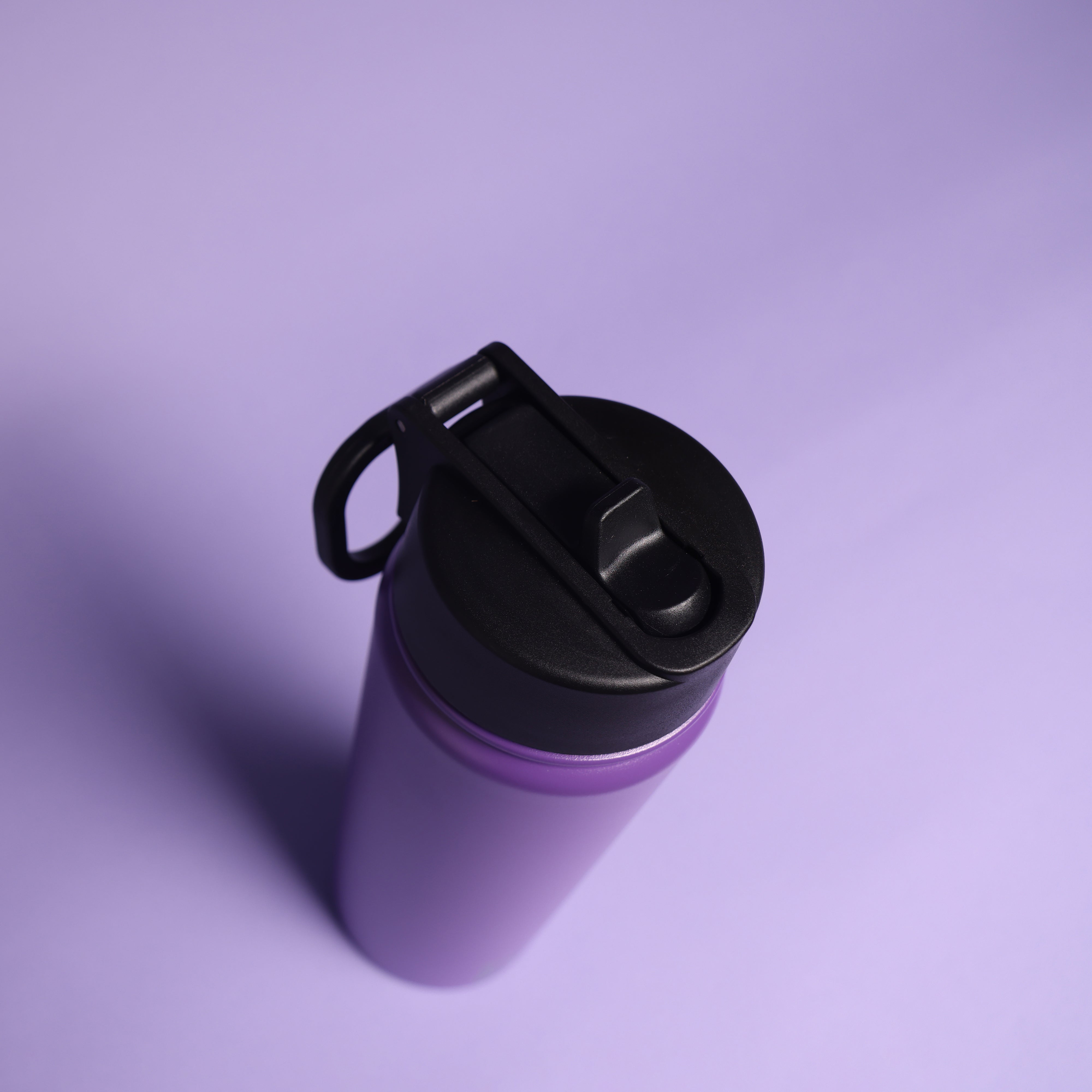 Versai Purple Stainless Steel Straw Water Bottle (500ml / 650ml / 1L)