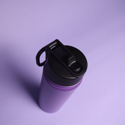 Versai Purple Stainless Steel Straw Water Bottle (500ml / 650ml / 1L)
