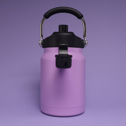 Versai 1L / 1.5L / 2.2L Purple Stainless Steel Straw Spout Water Bottle